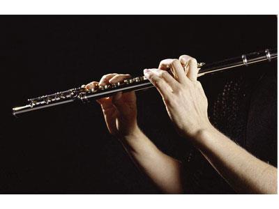 招聘石家庄长笛家教老师