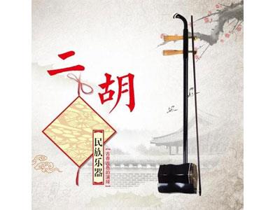 招聘石家庄二胡家教老师